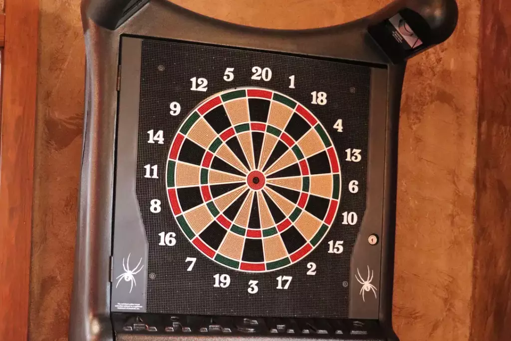 Dart board for playing darts